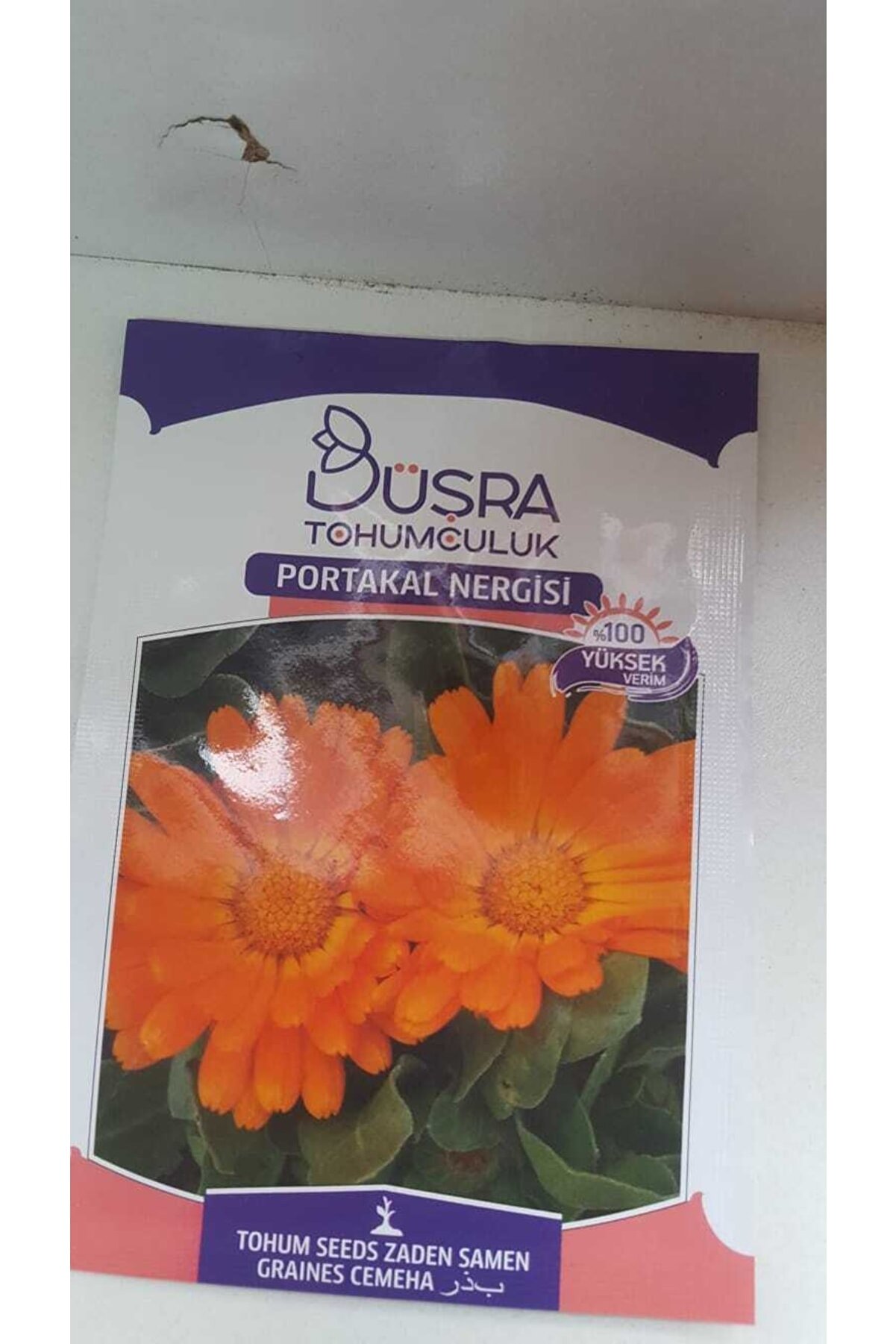 B&uuml;şra Portakal Nergi̇zi̇ &Ccedil;i̇&ccedil;ek Tohumu %100 Y&uuml;ksek Veri̇m