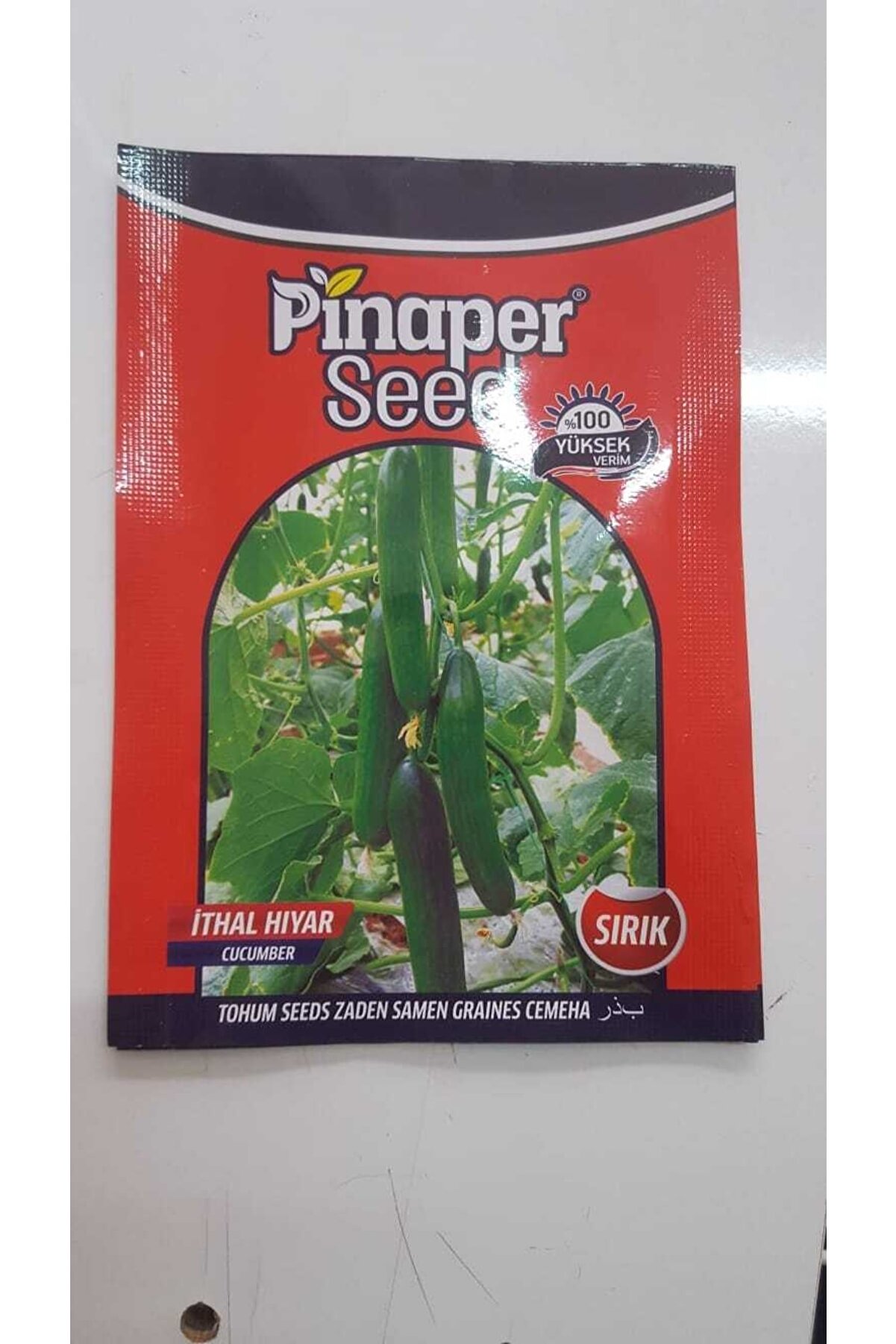 Ko&ccedil;ağro Salata Sırık Tohumu Sebze Tohumlarımız Taze Ve %100 Y&uuml;ksek Veri̇mli̇di̇r.