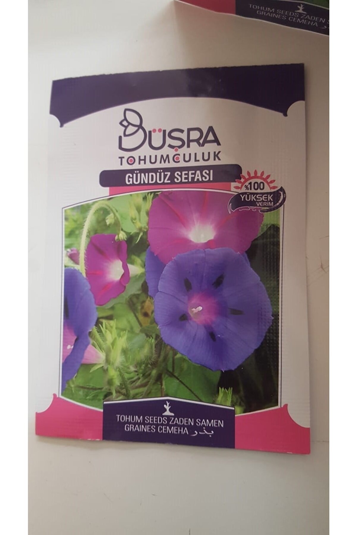 B&uuml;şra G&uuml;nd&uuml;z Sefası &Ccedil;i̇&ccedil;ek Tohumu %100 Veri̇mli̇