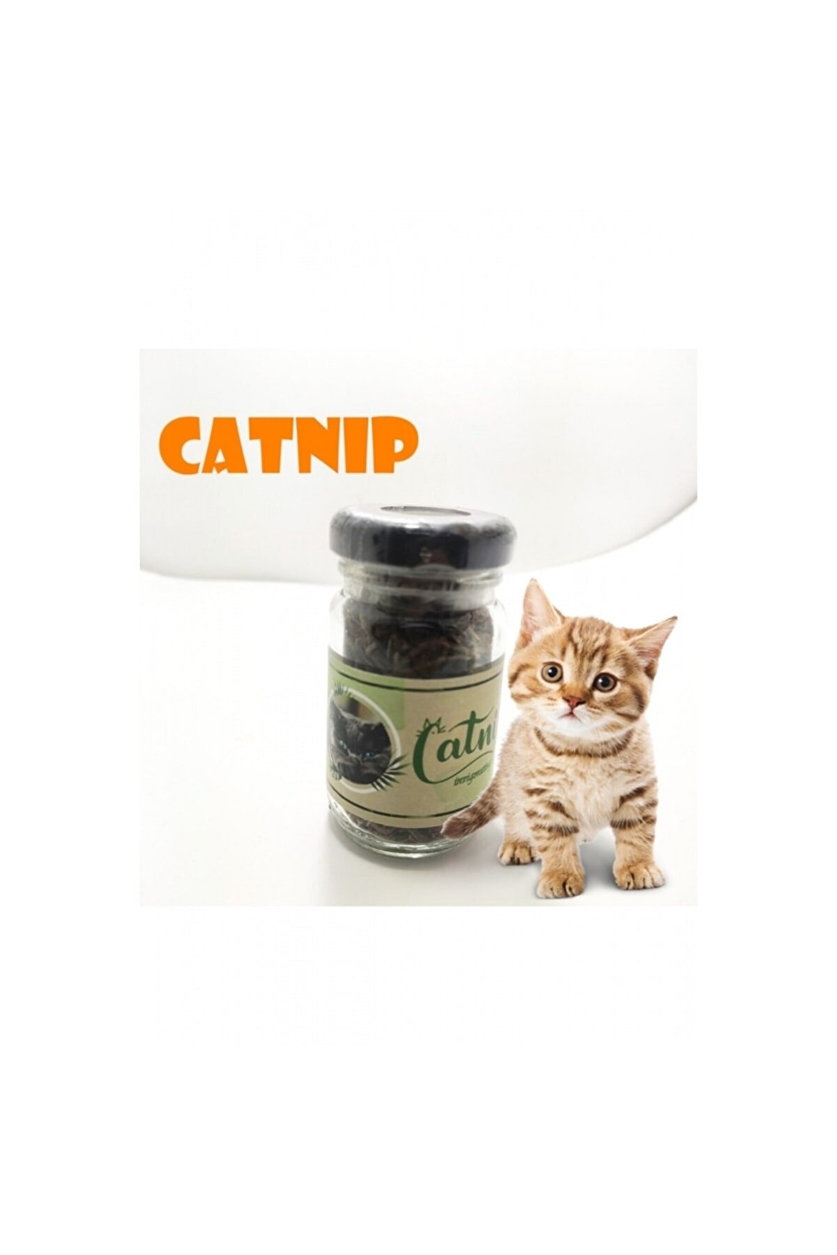Bi̇lfold Catni̇p Doğal Kedi̇ Otu - Kedi̇ Nanesi̇