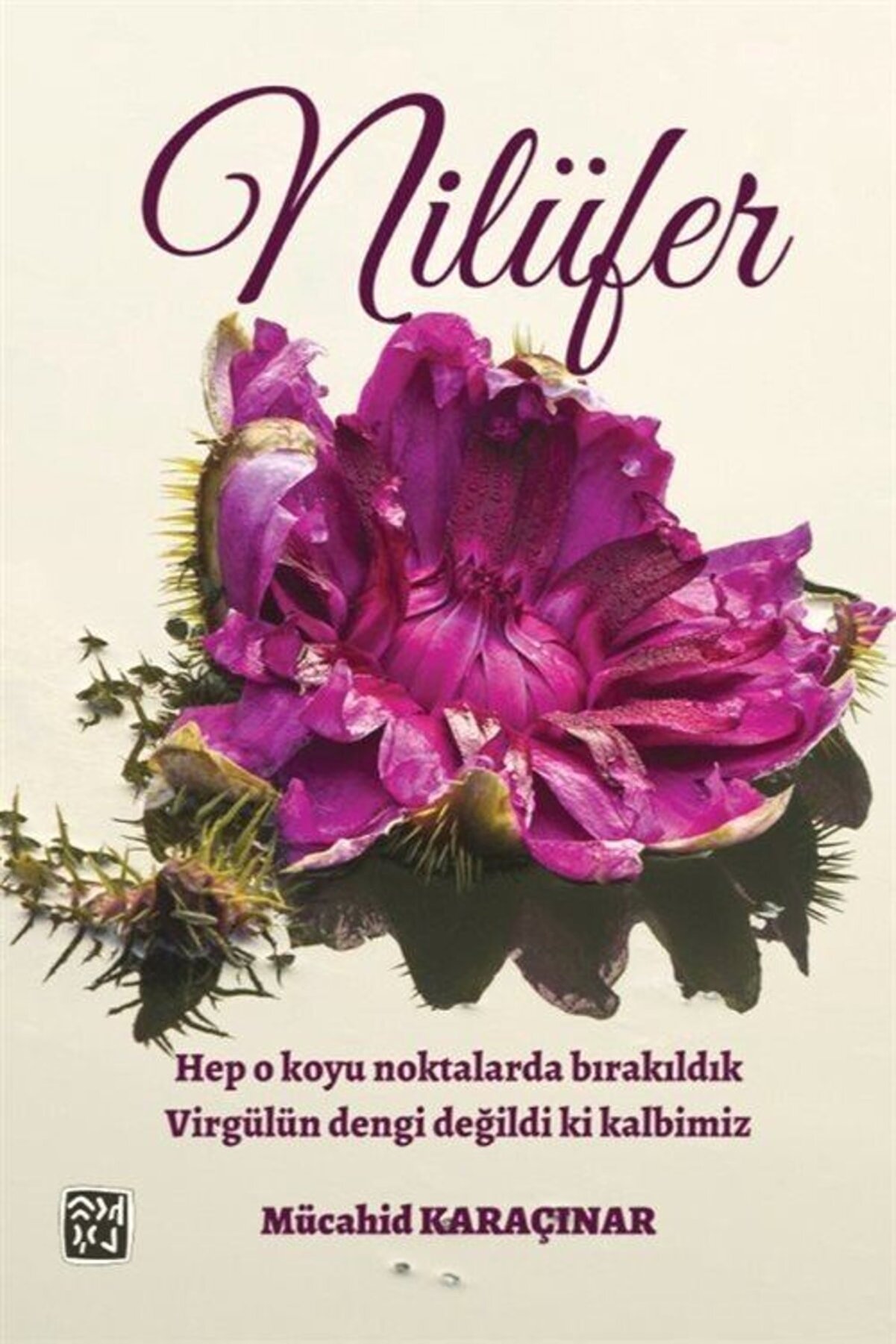 Kutlu Yayınevi̇ Ni̇lüfer