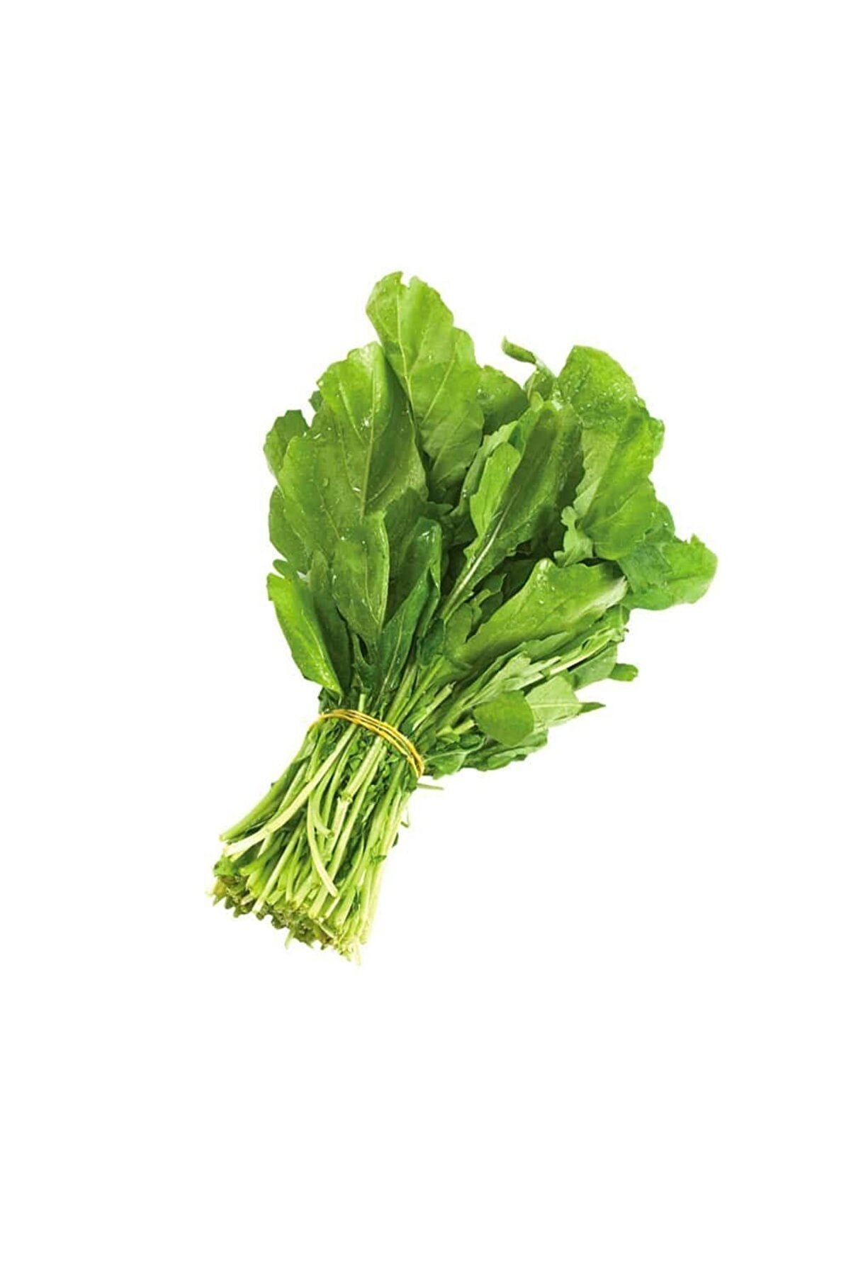 Nehir Grup Roka Tohumu 10gr 1 Paket