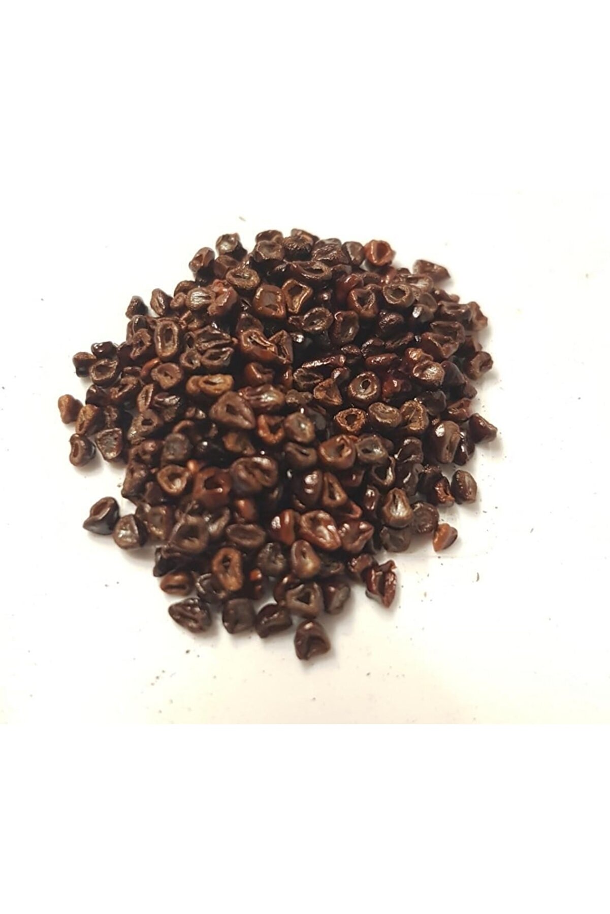 100 Adet Kaktüs Tohumu Karışık Astrophytum Astro ( 5 Ri̇bs,Kıkko,Superkabuto ,Star Type, V Type )