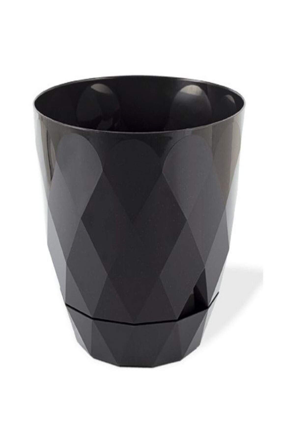 Karasu Yakamoz Saksı No 3