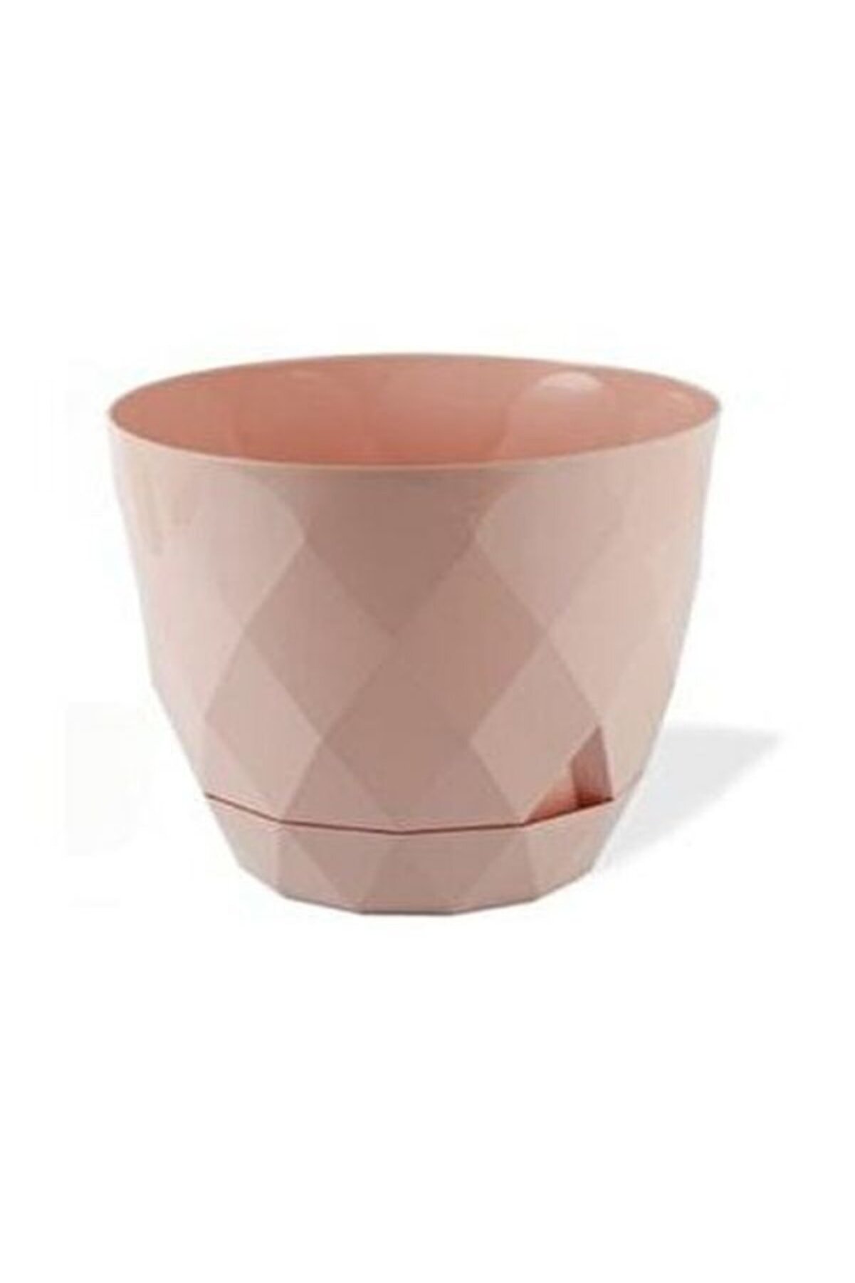 Karasu Yakamoz Saksı No 3