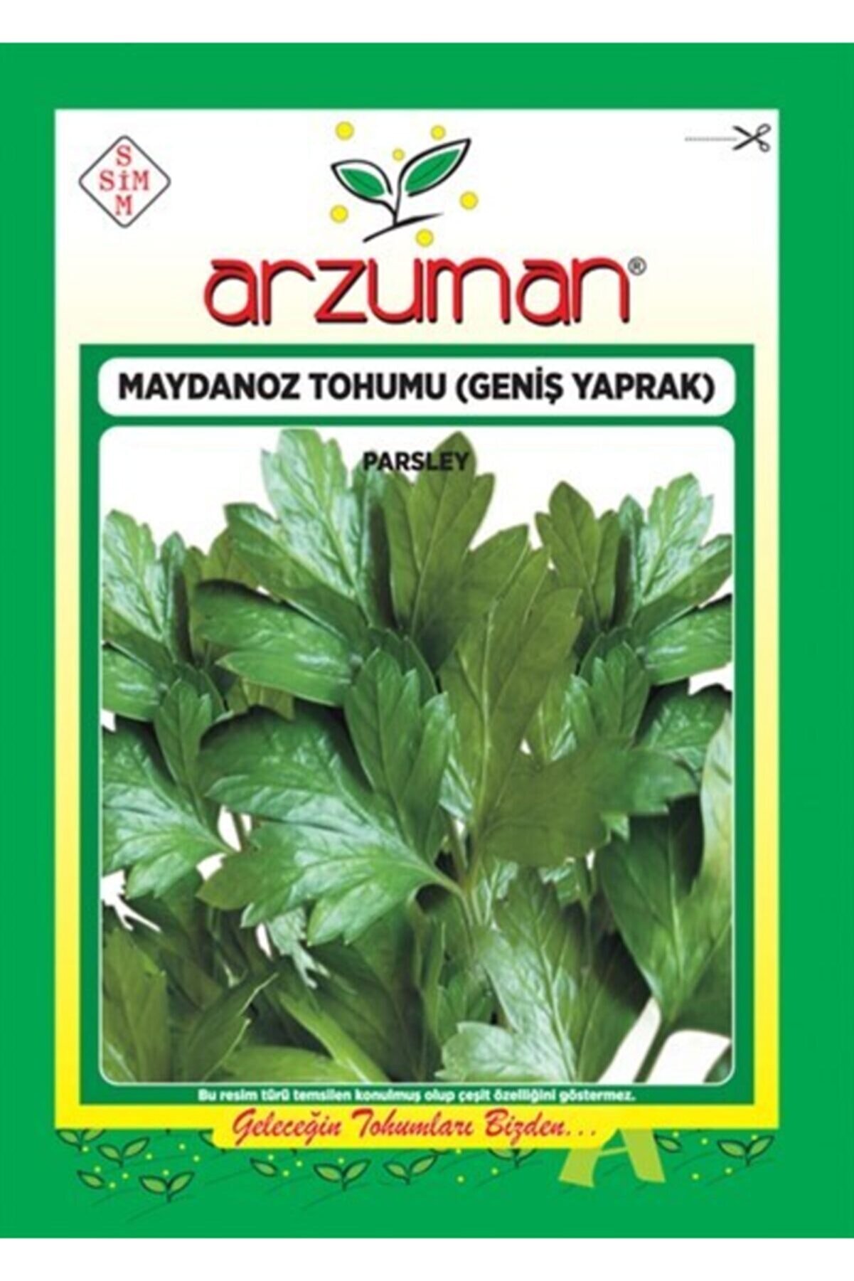 Arzuman Sebze Geniş Yaprak Maydonoz Tohumu 25 gr