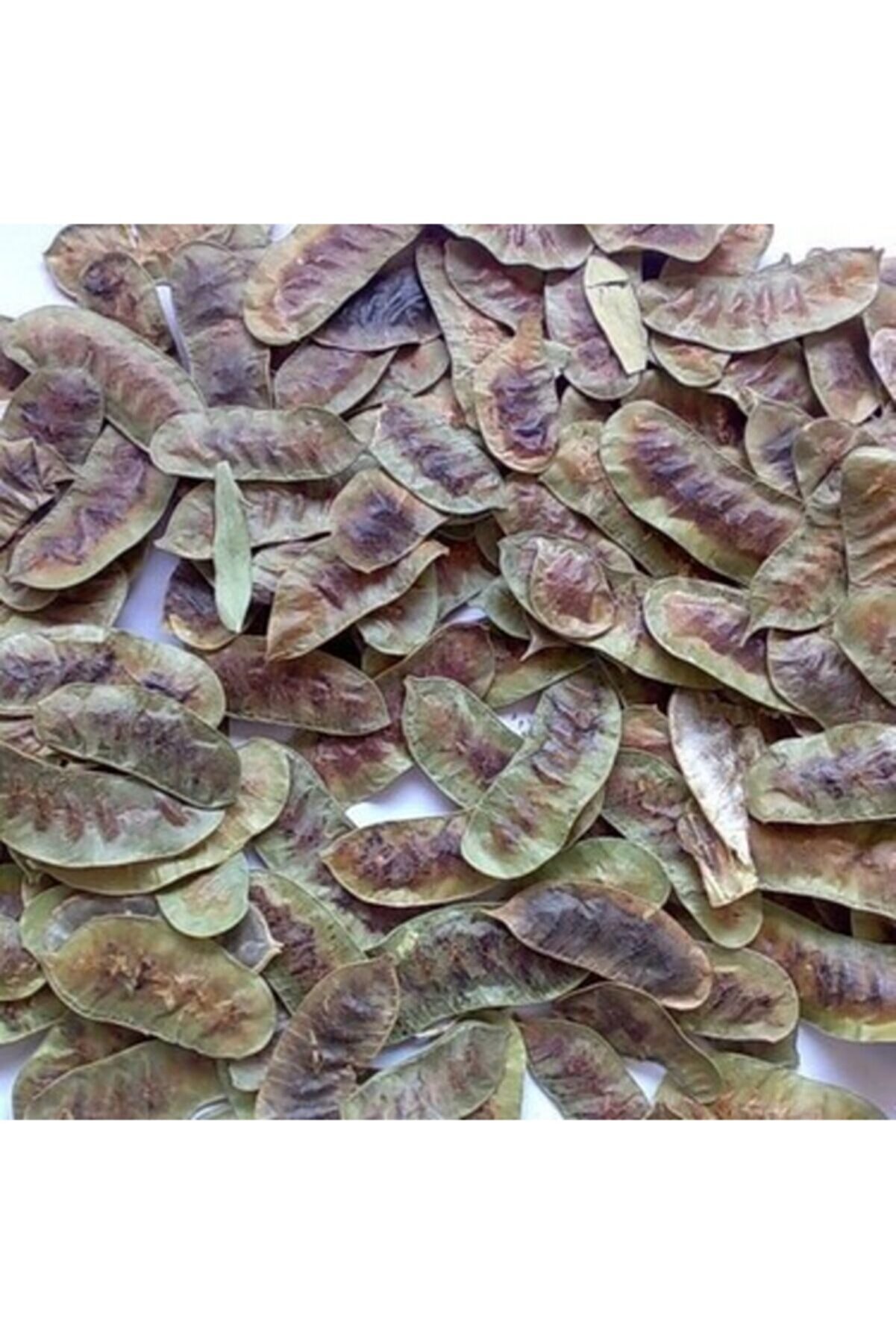 Aslanbey Açlık Otu(kara Sinameke) 40 Gr