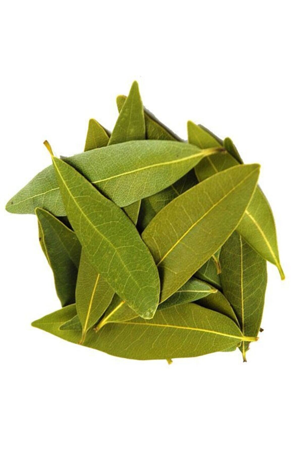 Bal Böceği Defne Yaprağı 80gr