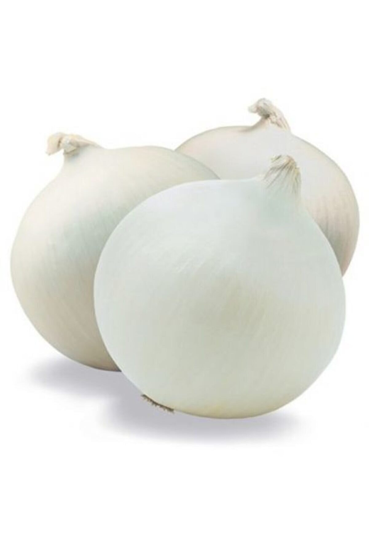 Arzuman Tohum Beyaz Soğan Tohumu 1500 Adet