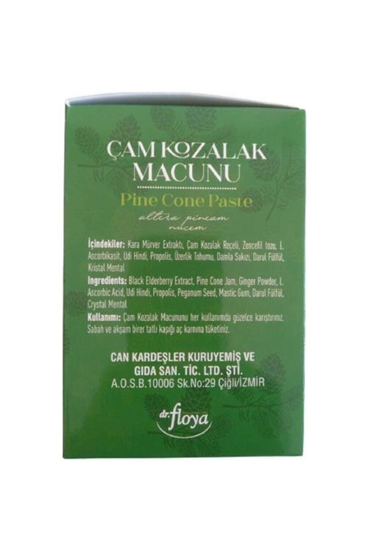 Dr.floya Çam Kozalak Macunu 340 Gr