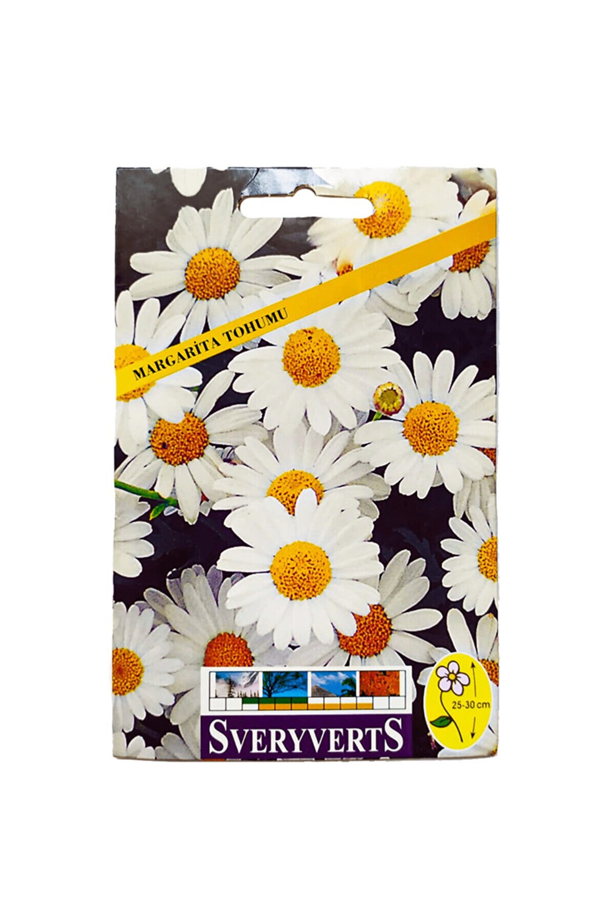 SVERYVERTS Margarita Papatya Çiçeği Tohumu