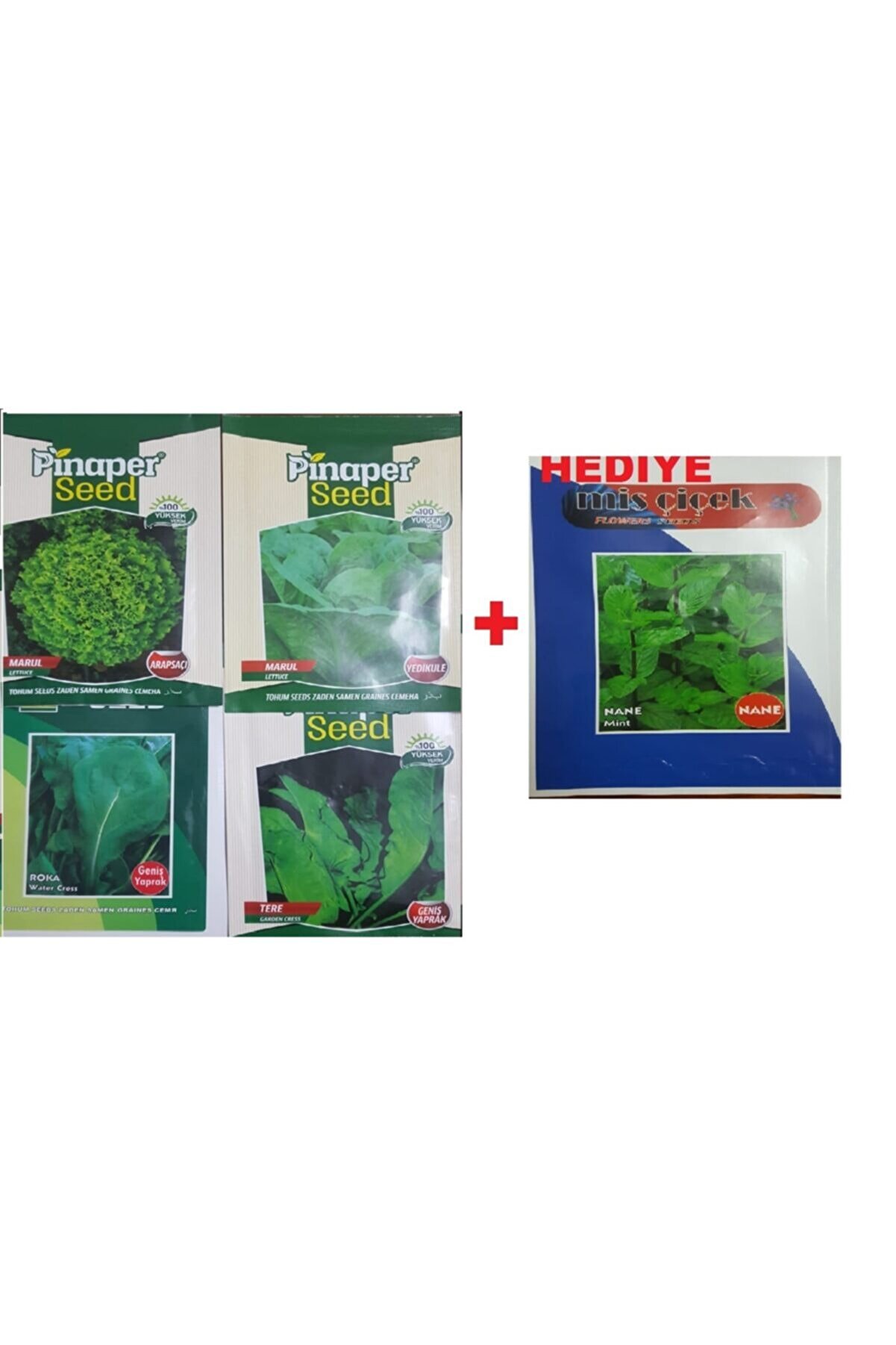 Pi̇naper Seed Roka Tohumu - Marul (Arapsa&ccedil;ı)Tohumu - Marul Tohumu - Tere Tohumu +(Nane Tohumu Hedi̇ye)