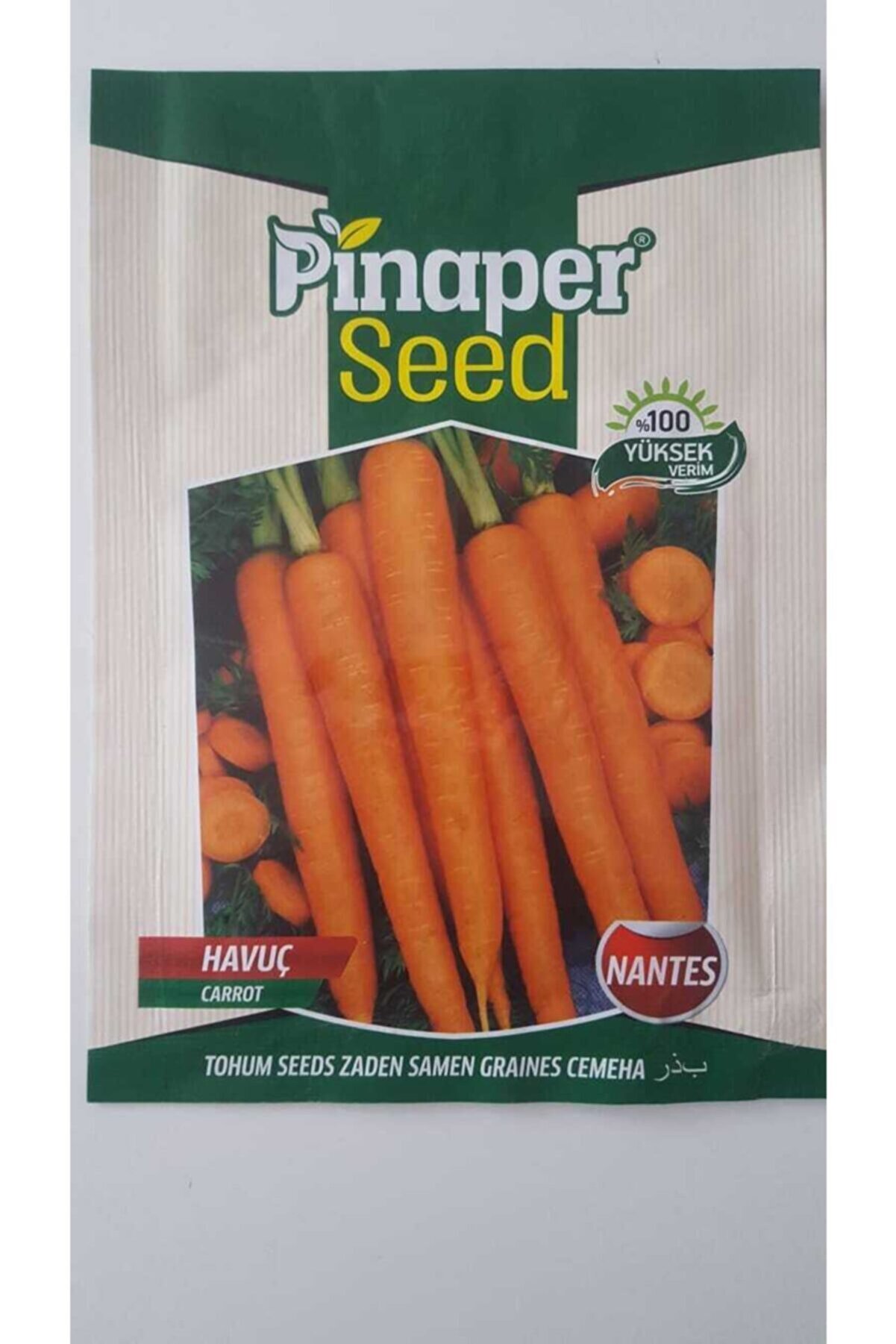Pi̇naper Seed Havu&ccedil; Tohumu 1 Paket %100 Y&uuml;ksek Veri̇mli̇di̇r
