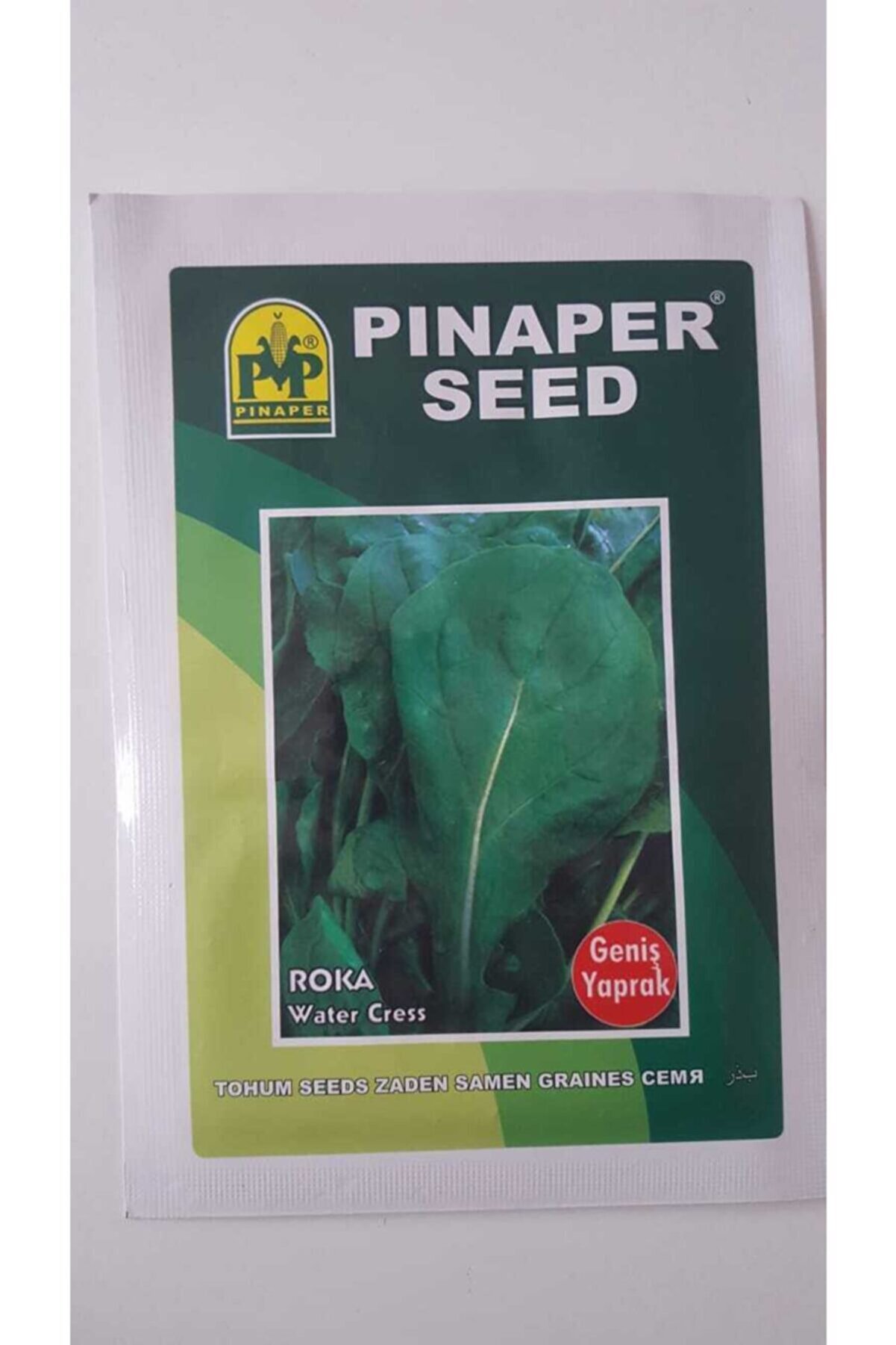 Pi̇naper Seed Roka (Geni̇ş Yaprak ) Tohumu %100 Y&uuml;ksek Veri̇mli̇di̇r.