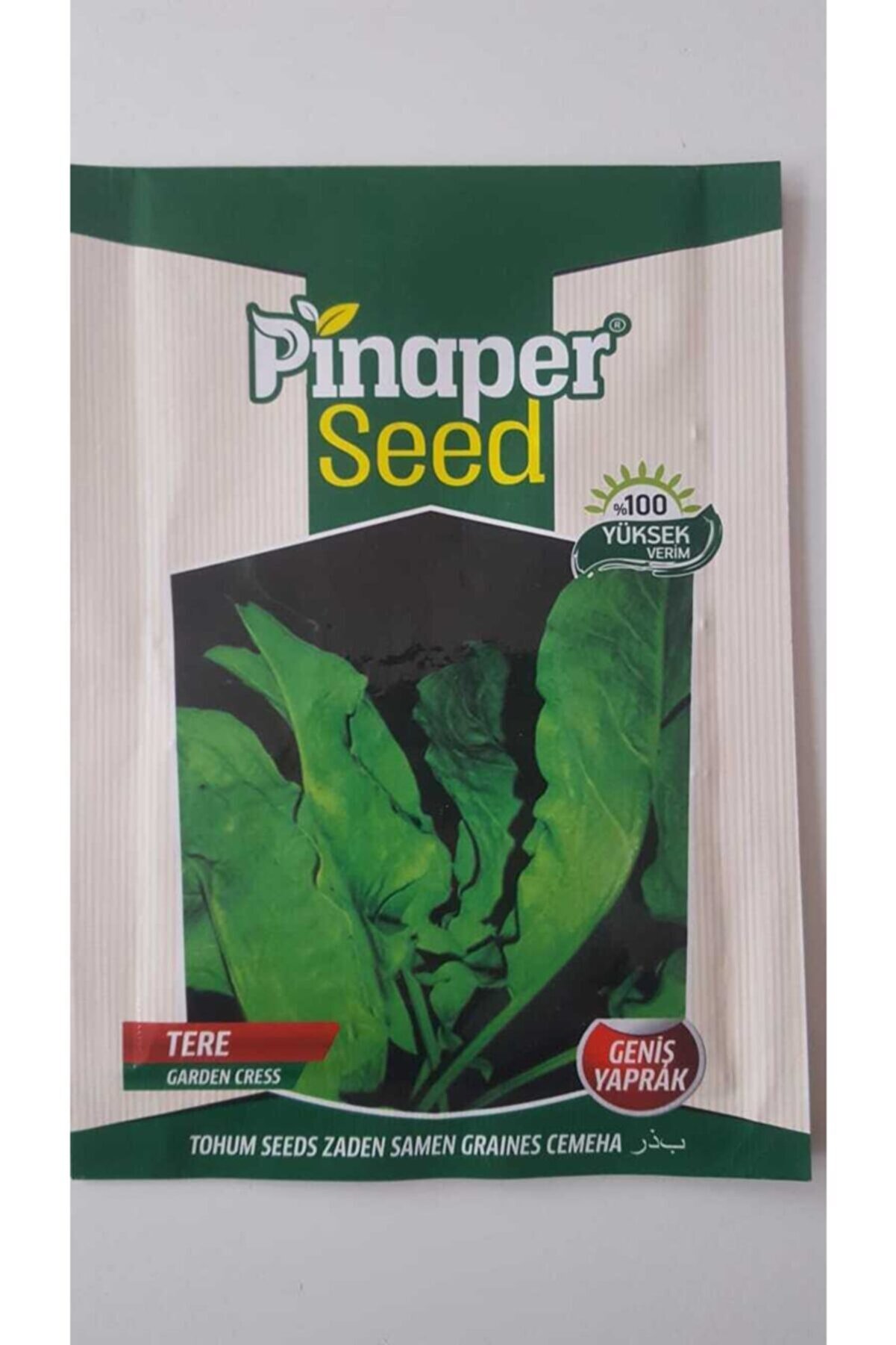 Pi̇naper Seed Tere (Geni̇ş Yaprak ) Tohumu 1 Paket %100 Y&uuml;ksek Veri̇mli̇di̇r