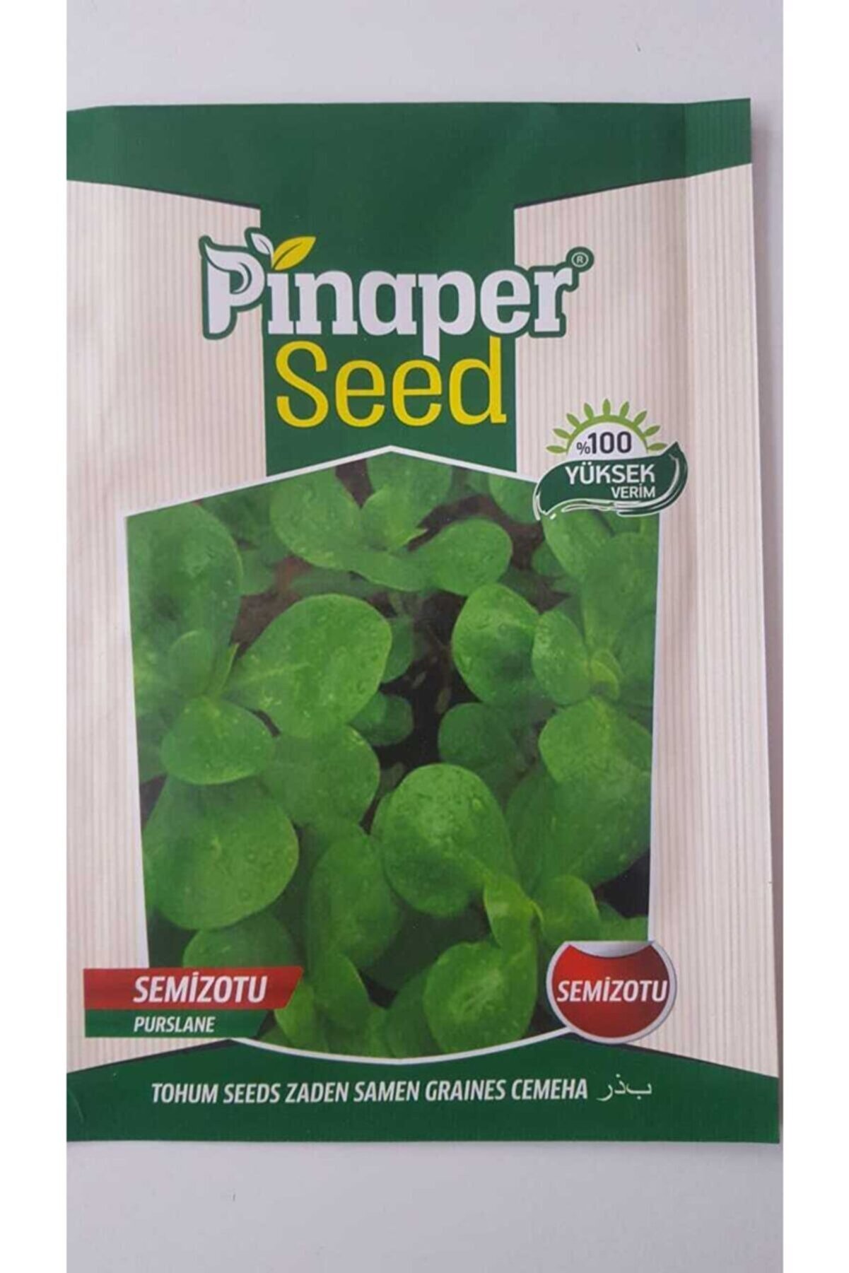 Pi̇naper Seed Semi̇zotu Tohumu 1 Paket %100 Y&uuml;ksek Veri̇mli̇di̇r.