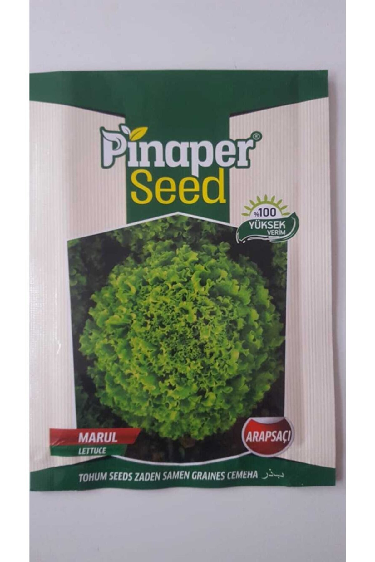 Pi̇naper Seed Marul (Arapsa&ccedil;ı) Tohumu 1 Paket %100 Y&uuml;ksek Veri̇mli̇di̇r.