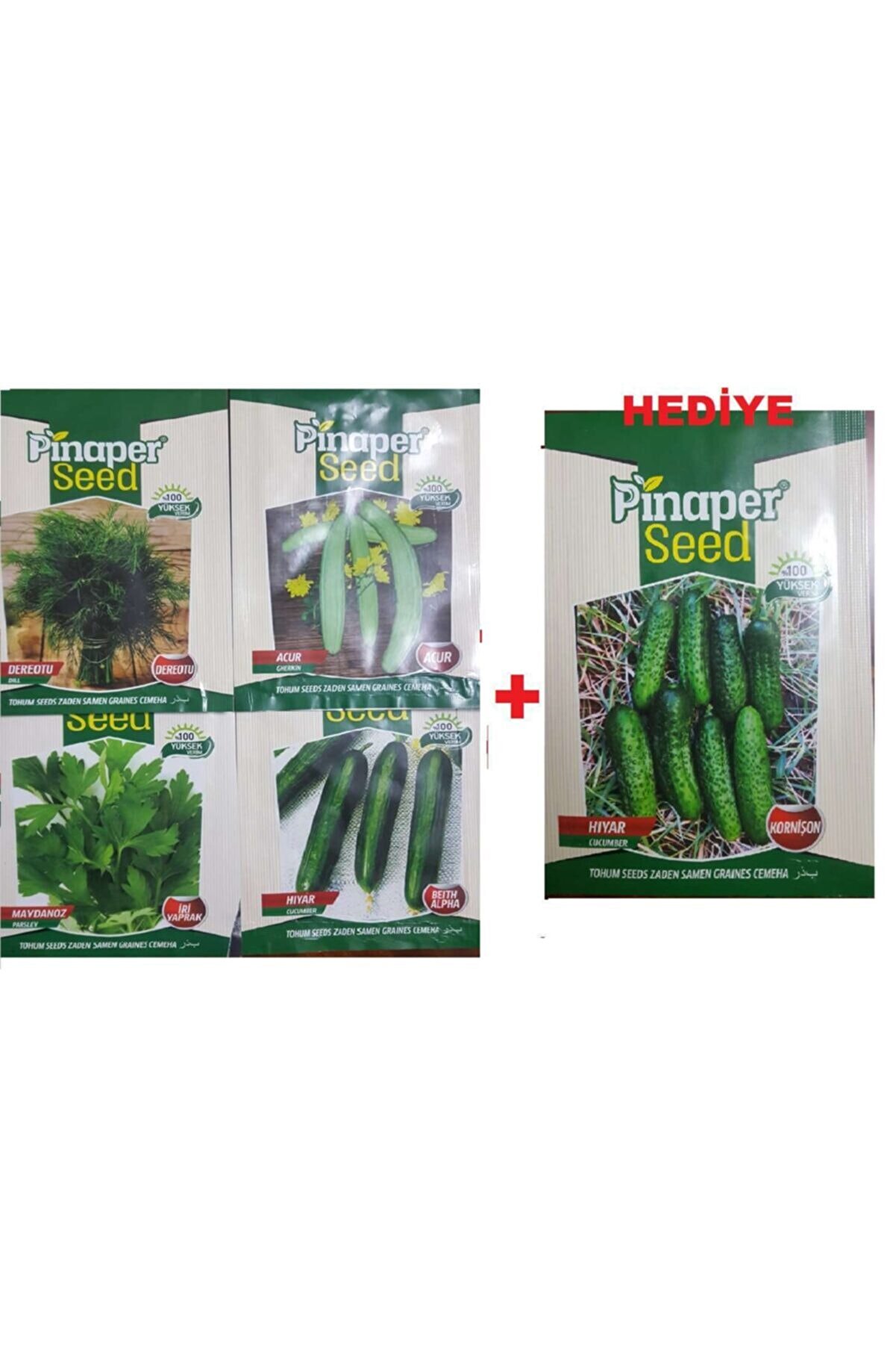 Pi̇naper Seed Maydanoz Tohumu - Dere Otu Tohumu - Acur Tohumu - Hıyar Tohumu