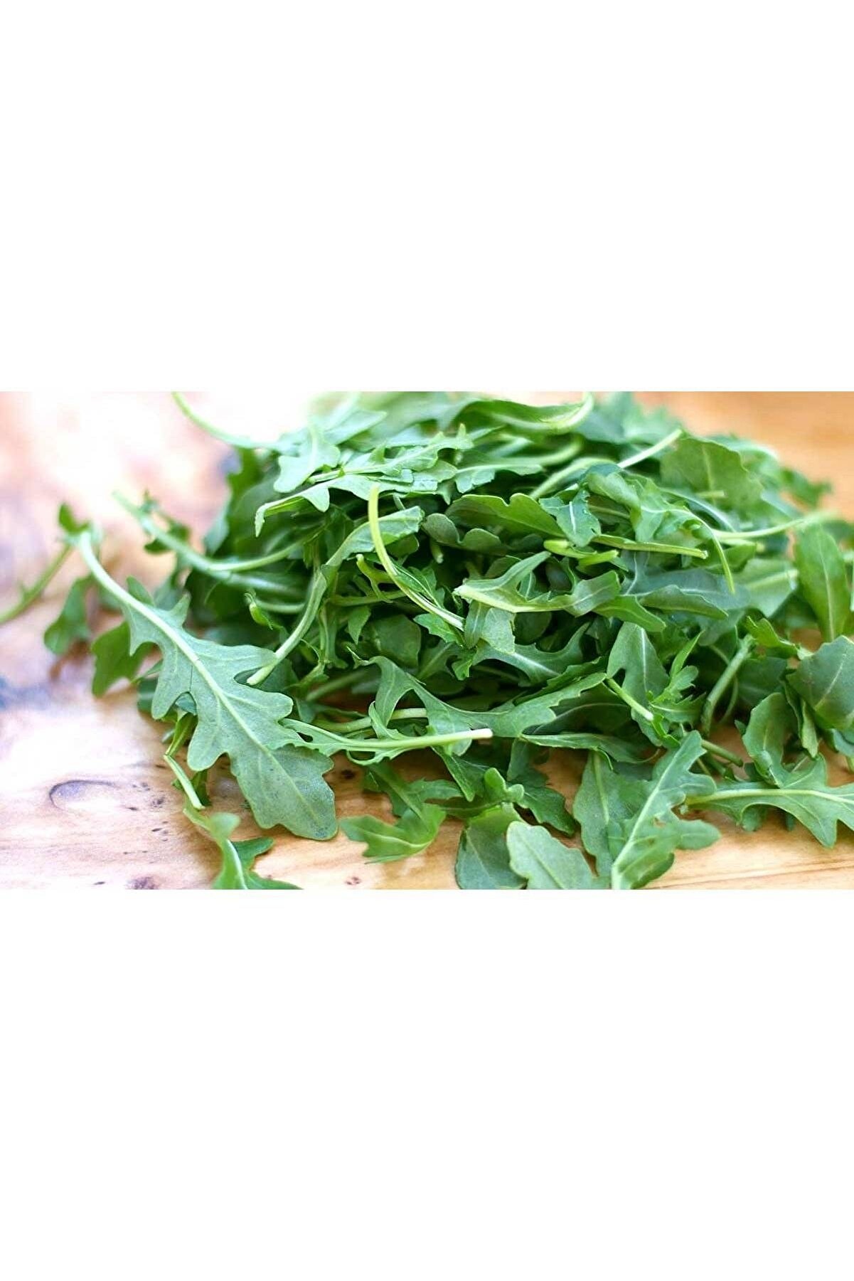 İstanbul tohumculuk Roka Tohumu 10 Gr