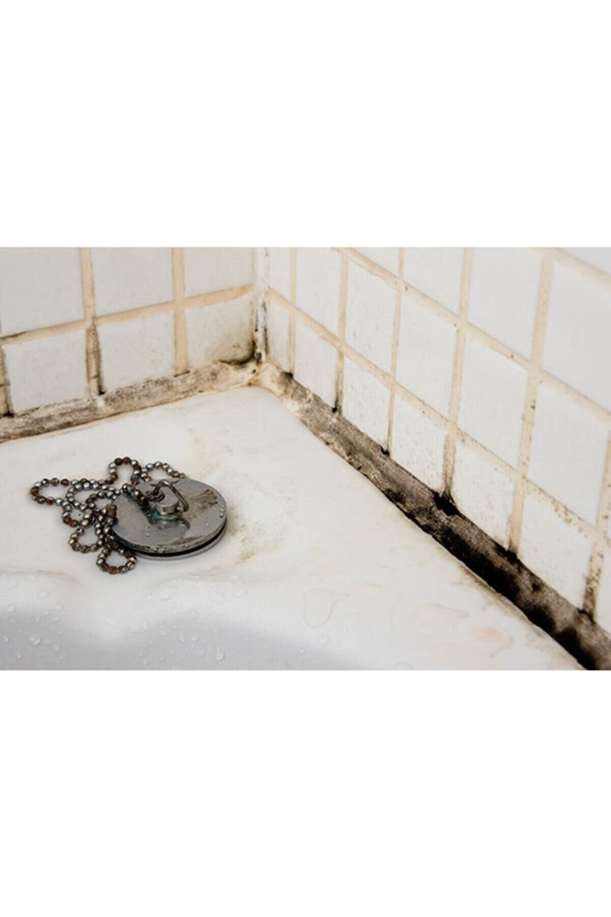 Si̇sta Mutfak Ve Banyo Banyo Si̇li̇konu Extra Whıte (Beyaz)