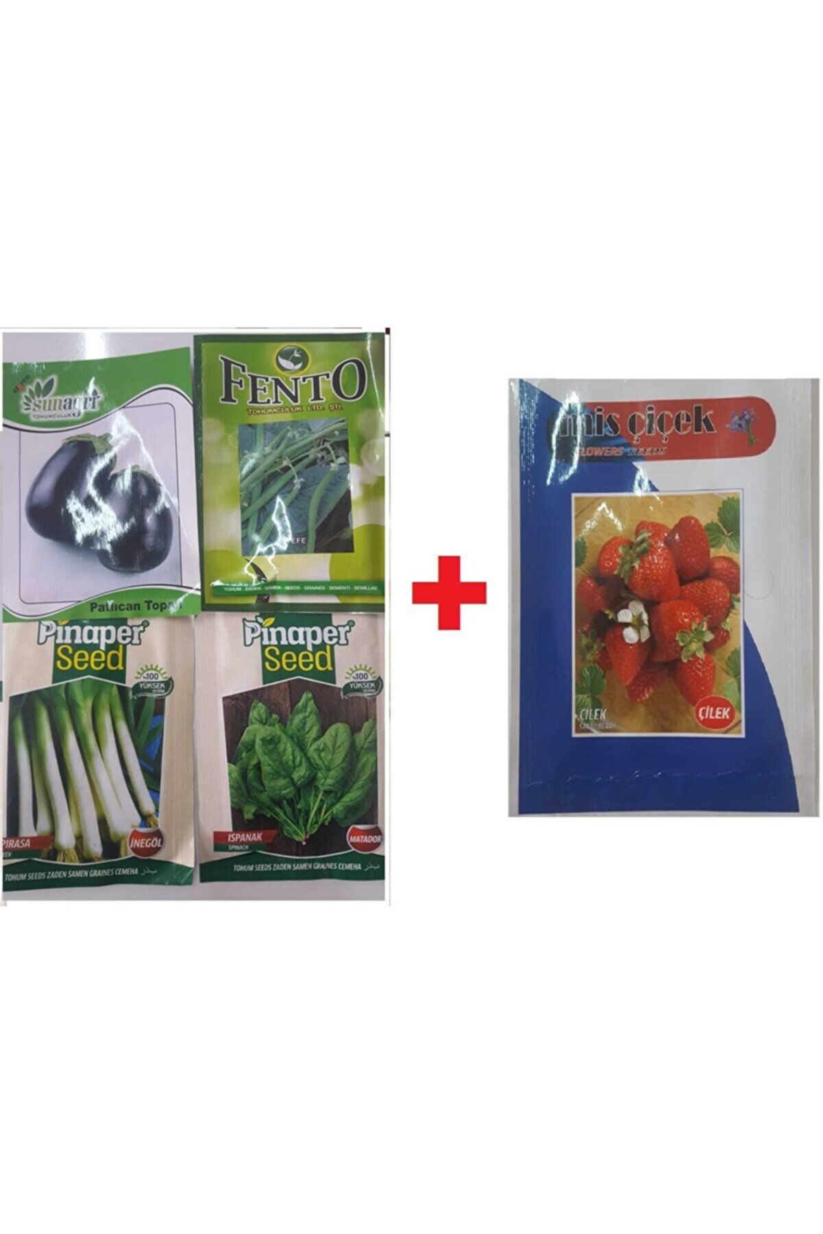Pi̇naper Seed Pırasa Tohumu + Fasulye Tohumu+Patlıcan Tohumu + Ispanak Tohumu