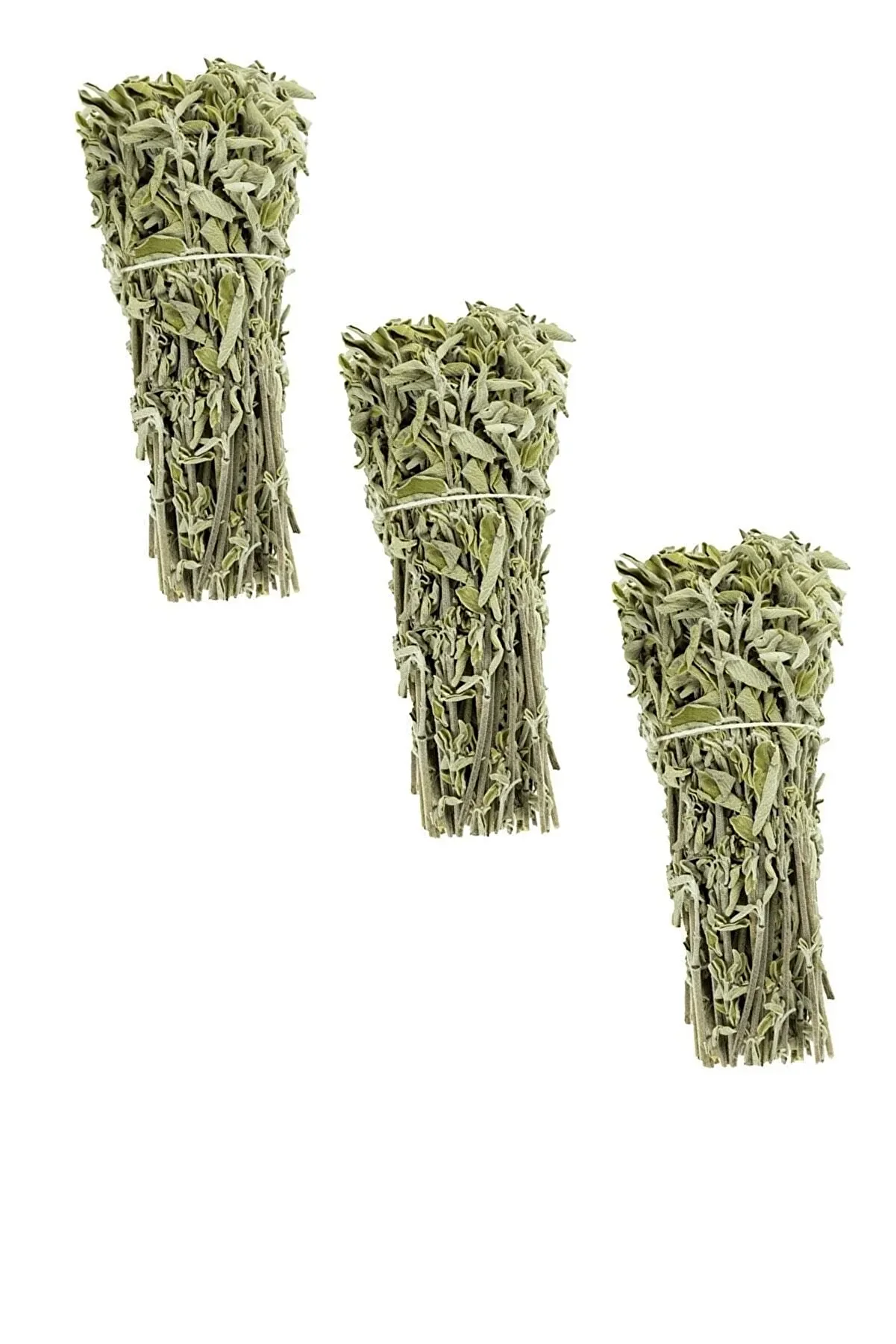 Kezeyce Dağ Mahsulü Taze Adaçayı 3 Demet