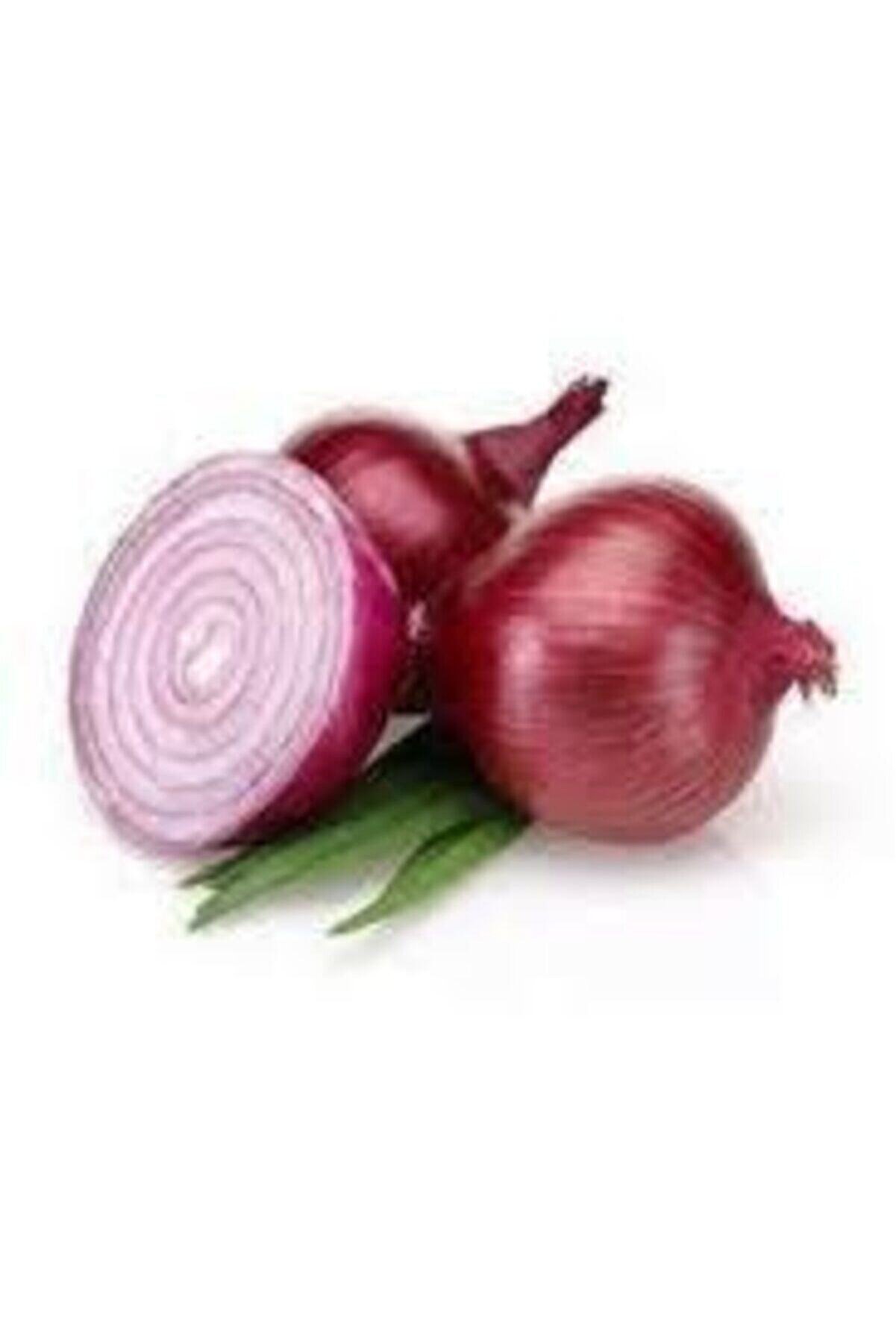 Çam Tohumculuk 30 Adet Tohum Yerli Mor Soğan Tohumu Ata Tohum