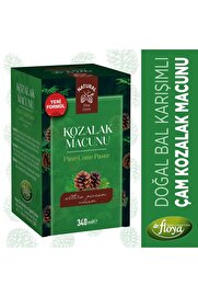 Dr. Floya Natural Çam Kozalak Macunu Kara Mürver Karışımlı 340 Ml.