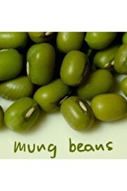Naturel Tohum Maş Fasulye Tohumu (20 Adet Tohum)