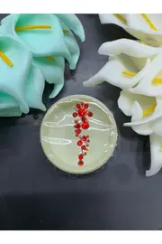 Ai̇rbrush Tattoo Yüz Taşı Face Gems Yapışkan Burun Parmak Hızma Model45