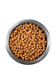 Ethab Ti̇caret Tavuklu Yeti̇şki̇n Kedi̇ Sı 1 Kg