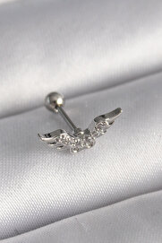 Evi̇mdeyokyok 316L Çeli̇k Gümüş Renk Zi̇rkon Taş Detay Kanat Model Tragus Pi̇erci̇ng Tj-Pr1291
