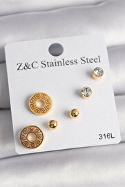 Tj 316L Çeli̇k Gold Renk Zi̇rkon Taşı Labi̇rent Model Kadın Küpe Seti̇ - Tj-Bkp10011