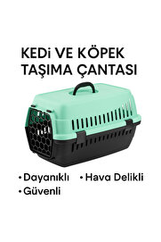TRENDMEN Kedi ve Köpek Taşıma Çantası – Orta Boy, Dayanıklı Plastik, Hava Delikli Kapak, Mint-Siyah