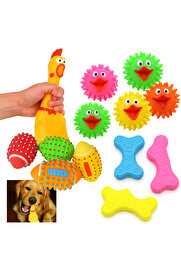 TRENDMEN Köpek Oyuncak Seti – Dayanıklı Çiğneme, Sesli ve Diş Sağlığına Uygun 4’lü Paket