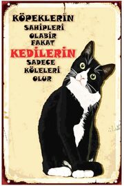 STOREMAX Kuşe Kağıt Duvar Posteri Kedilerin Sadece Köleleri Olur Retro Drtr0033 1014773