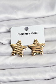 Buti̇k 316L Çeli̇k Gold Renk Yıldız Model Kadın Küpe