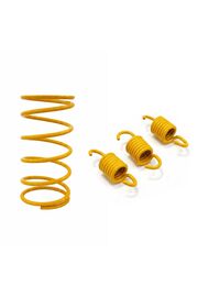 Speedup Mondi̇al Strada 100-110 Speed Up Yayı + Arka Varyatör Balata Yayı - 1250 Rpm