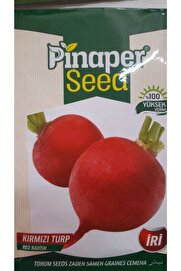 Pi̇naper Seed Kırmızı Turp Tohumu 1 Paket %100 Yüksek Veri̇mli̇di̇r.
