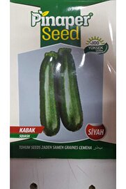 Pi̇naper Seed Kabak Si̇yah Tohumu 1 Paket %100 Yüksek Veri̇mli̇di̇r.