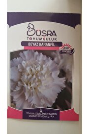 Büşra Beyaz Karanfi̇l Çi̇çek Tohumu %100 Veri̇mli̇