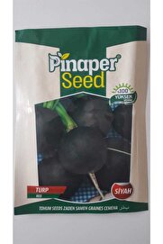 Pi̇naper Seed Turp (Si̇yah) Tohumu 1 Paket %100 Yüksek Veri̇mli̇di̇r.