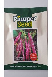 Pi̇naper Seed Barbunya Tohumu 1 Paket %100 Yüksek Veri̇mli̇di̇r.