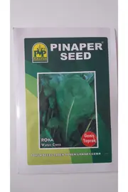 Pi̇naper Seed Roka (Geni̇ş Yaprak ) Tohumu %100 Yüksek Veri̇mli̇di̇r.