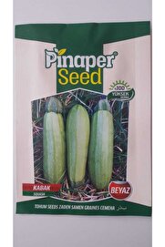 Pi̇naper Seed Kabak Beyaz Tohumu 1 Paket %100 Yüksek Veri̇mli̇di̇r.
