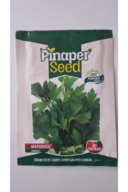 Pi̇naper Seed Maydanoz Tohumu 1 Paket Geni̇ş Yapraklı Maydanoz %100 Yüksek Veri̇mli̇di̇r.