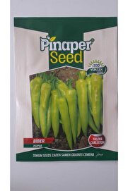 Pi̇naper Seed Bi̇ber (Yalova Çarli̇ston ) Tohumu 1 Paket %100 Yüksek Veri̇mli̇di̇r.