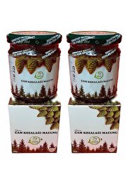 Herbary Şifaana Çam Kozalak Macunu 240 Gram 2 Kutu