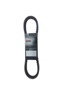 Bando Kayış Peugeot Django (S19-017) (818-19.1-30-10)