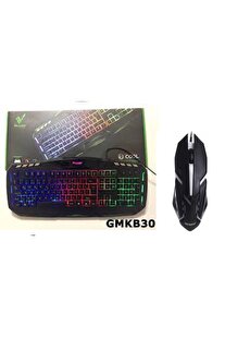 Versati̇le Gmkb30 Usb Kablolu Işıklı Gami̇ng Q Klavye+Polygold Pg-883 Işıklı Kablolu Oyuncu Mouse